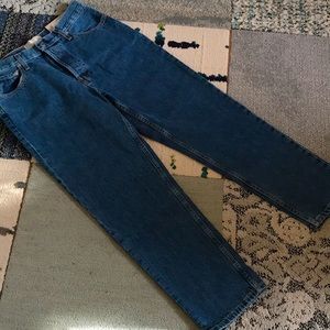 Everlane NWT The 90’s Cheeky Jean high rise ankle Jean sz29